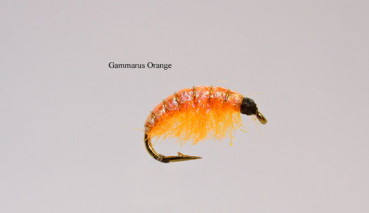 Sonderangebot: 3 Stück Gammarus3 - Orange